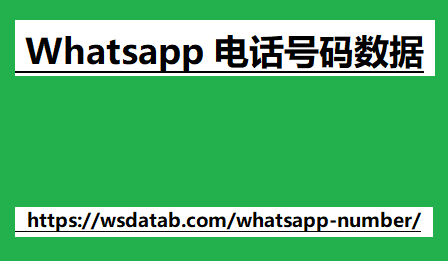 Whatsapp 电话号码数据 