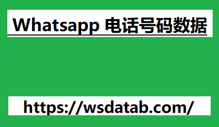 Whatsapp 电话号码数据