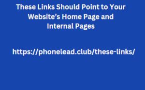 These Links Should Point to Your Website’s Home Page and Internal Pages