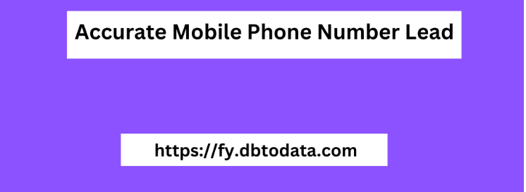 Accurate Mobile Phone Number Lead