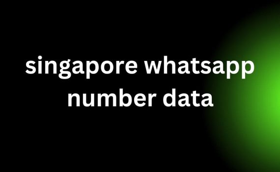 singapore whatsapp number data