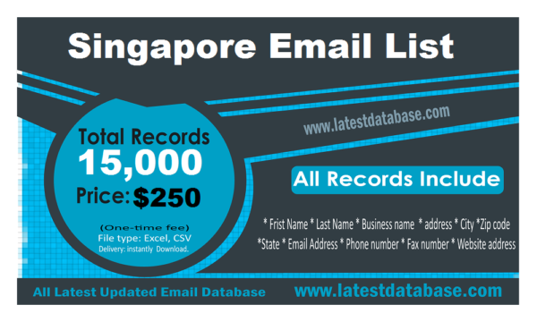 Singapore Email Verify Person Data